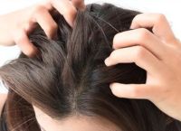 脂溢性脱发毛囊萎缩的原因及治疗方法