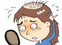 脂溢性脱发头顶秃了怎么办？如何有效预防和治疗脂溢性脱发？